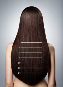 chart showing length of hair on model